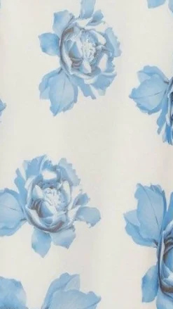 Amina Maxi Dress - Blue Rose