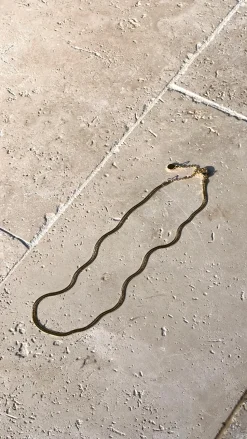 Ariana Necklace - Gold