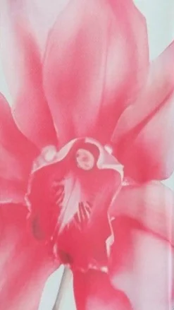 Brittani Strapless Maxi Dress - Blue/Pink