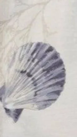 Candelaria Button Up Shirt and Shorts Set - Shell Print