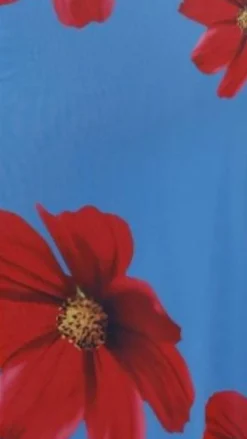 Eisa One Shoulder Maxi Dress - Blue / Red Floral