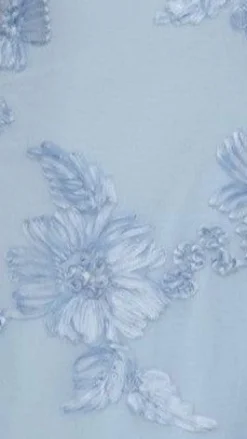 Lanesia Mini Dress - Blue