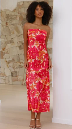 Miya Maxi Dress - Pink/Red Floral