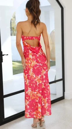 Miya Maxi Dress - Pink/Red Floral
