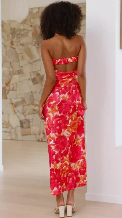 Miya Maxi Dress - Pink/Red Floral