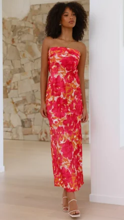 Miya Maxi Dress - Pink/Red Floral
