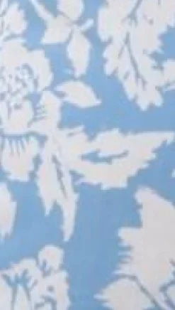 Sumi Mini Dress - Blue Floral