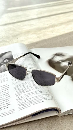 The Earle Sunglasses - Silver / Smoke