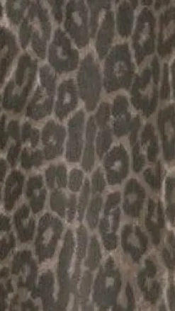 Vox Jacket - Leopard Print