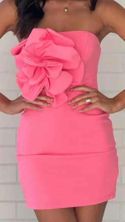 Xanbi Mini Dress - Pink